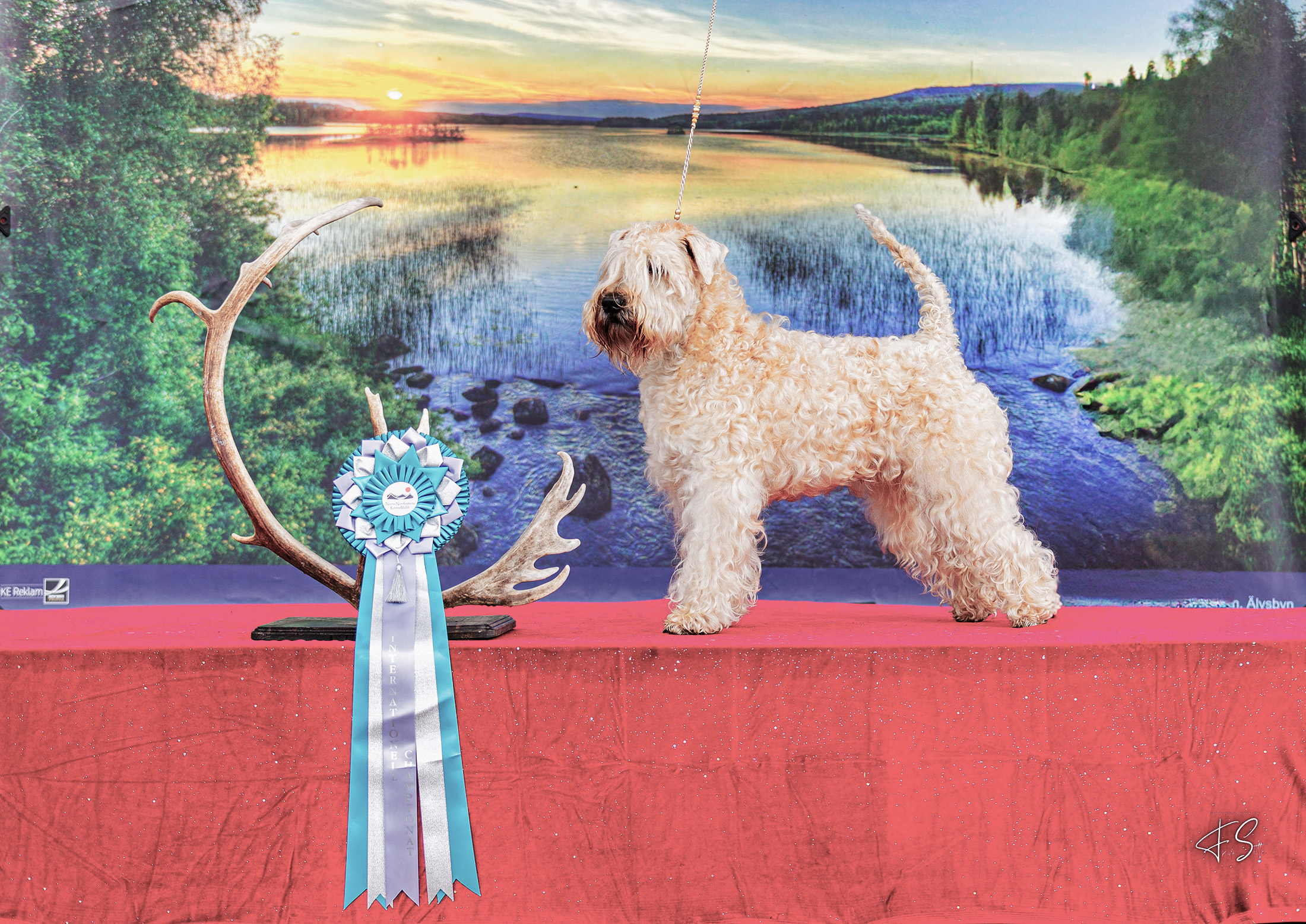 C.I.B. Fi & Ee & Se Ch Hellevillan Palisanteri