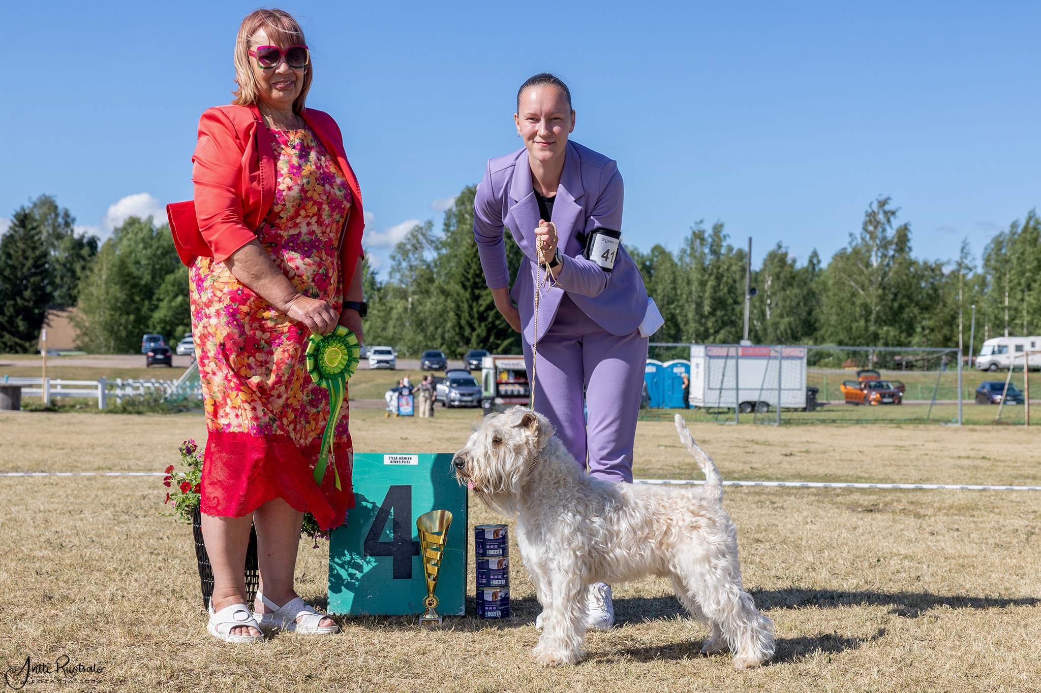 Goforit Wild´n Free