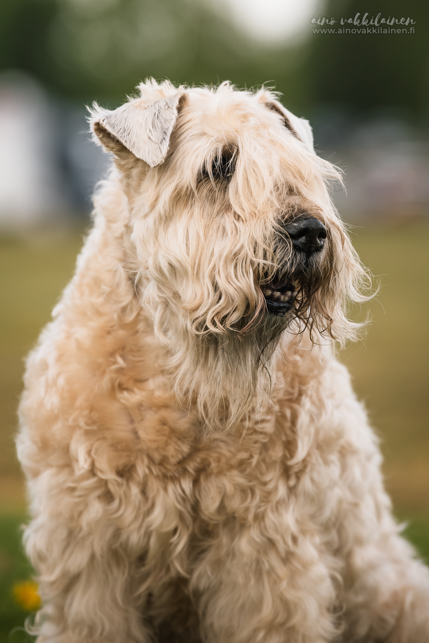 Vuoden 2024 valiot Aada, Wili, Pate ja Saaga